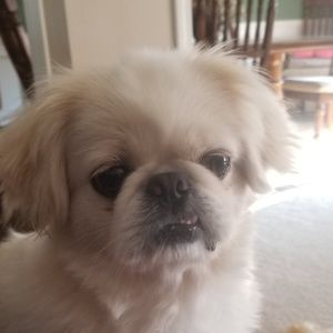 Meet your Posher, Kim